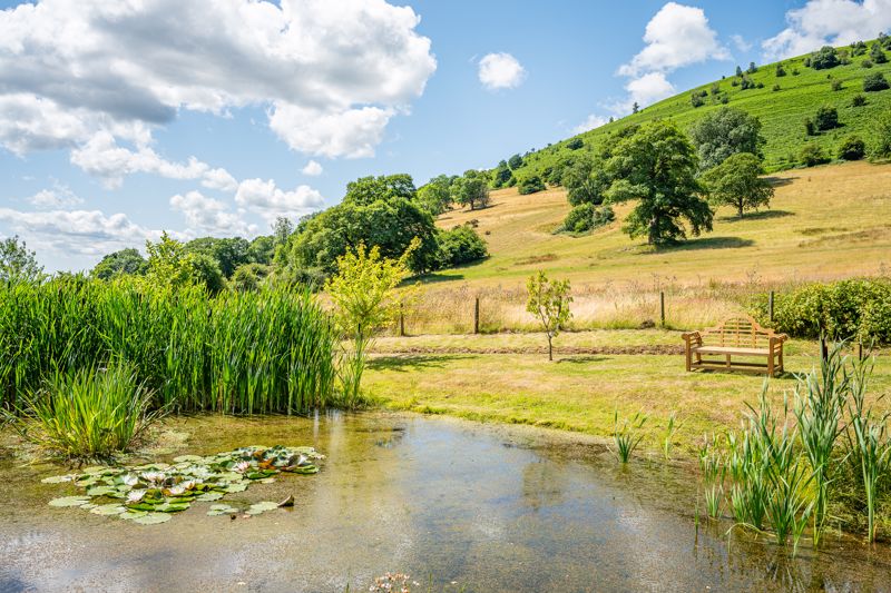 Garden- click for photo gallery